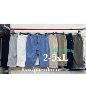 Spodnie damskie - Duże rozmiary 1103V135 (2XL-5XL, 8)