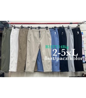 Spodnie damskie - Duże rozmiary 1103V142 (2XL-5XL, 8)