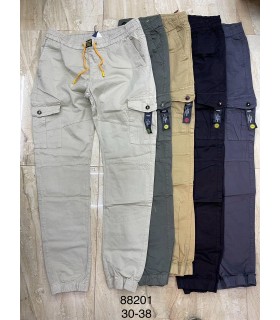 Spodnie męskie 1103V168 (30-38, 10)