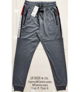 Spodnie męskie 1107V061 (M-2XL, 12)
