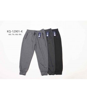 Spodnie męskie - Duże rozmiary 1407V002 (6XL-9XL, 12)