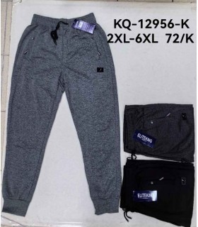 Spodnie męskie - Duże rozmiary 1407V004 (2XL-6XL, 12)